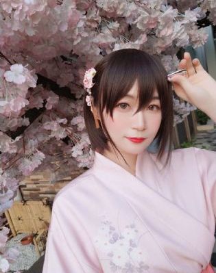 伪装者免费高清在线播放