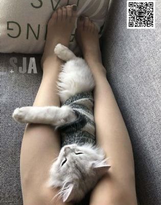 公共女人