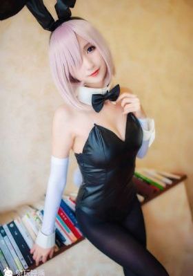 泰迪熊