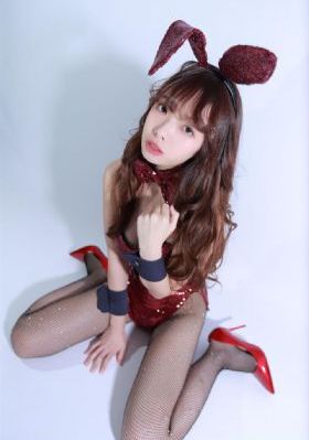 粤语屋最新电视剧免费观看