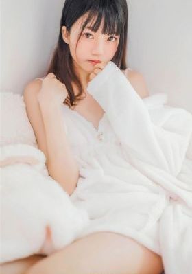 情满四合院一共多少集