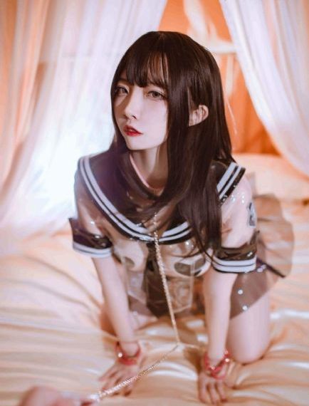 黑狐之风影电视剧